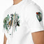 New - COOGI X NBA X Protege - Boston Celtics Tee- Set