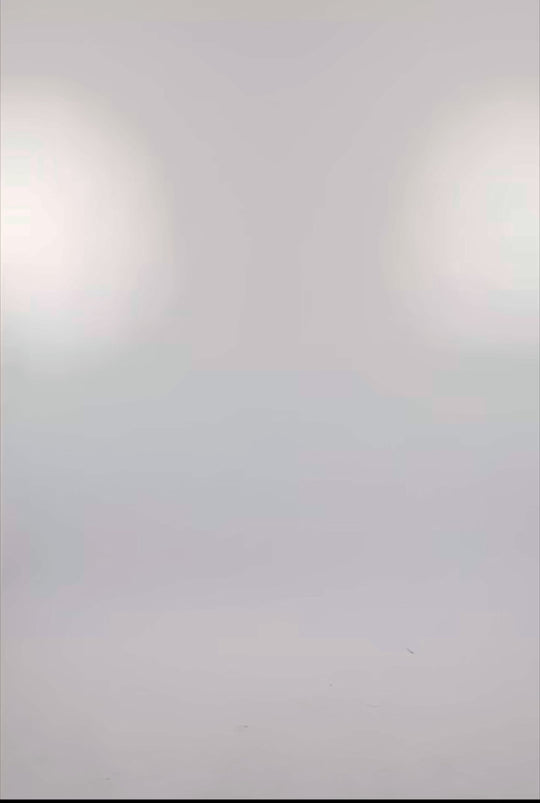 New - COOGI Faux Suede Wide Leg Pants