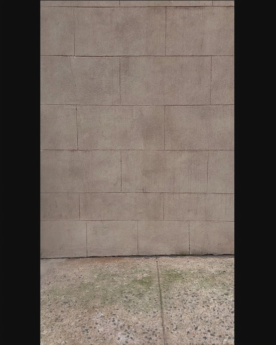 New - COOGI Script Tee - Light Blue