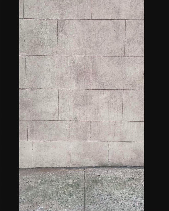 New - COOGI Applique Tee - Black